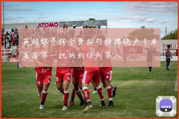 英超球员转会费排行榜揭晓卢卡库高居第一托纳利位列第八