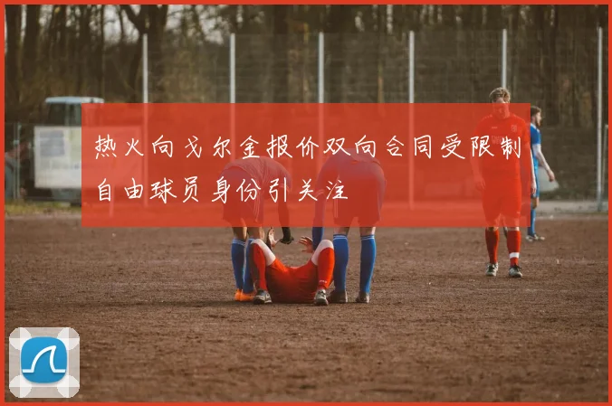 热火向戈尔金报价双向合同受限制自由球员身份引关注